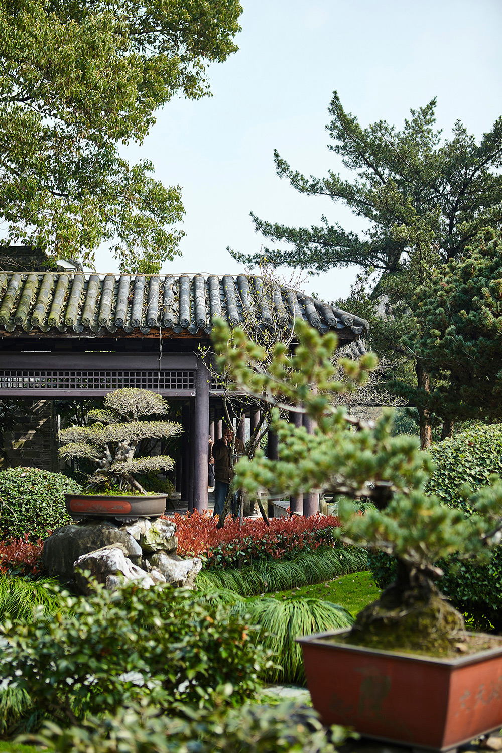 Hotel and hospitality destination photography services Botanical gardens to visit near Suzhou, featured in a hotel and hospitality destination photography campaign.
